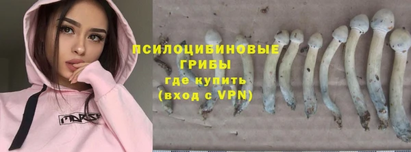 прущая мука Нея