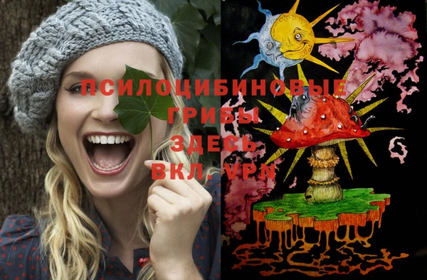 прущая мука Нея